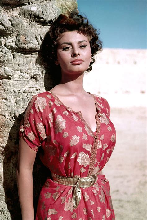 Sophia Loren Photo 733 Of 929 Pics Wallpaper Photo 869822 Theplace2