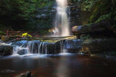 Serene Forest Flickr Photo Sharing