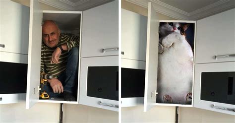 We listen to you and design your. Contractor Gets In The Cabinet To Prove Its Sturdiness, Sparks Hilarious Photoshop Battle ...
