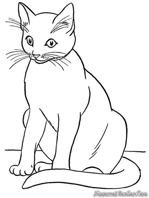 Detail Gambar Mewarnai Gambar Kucing Bertopi Cat Coloring Page Coloring