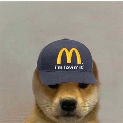 Shiba Inu Dog With Hat Meme Bleumoonproductions