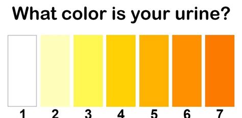 Urine Color Chart What Color Is Normal What Does It Mean What Every Color Of Your Urine And