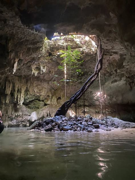 Cenote Sac Actun Cenotes Of Mexico