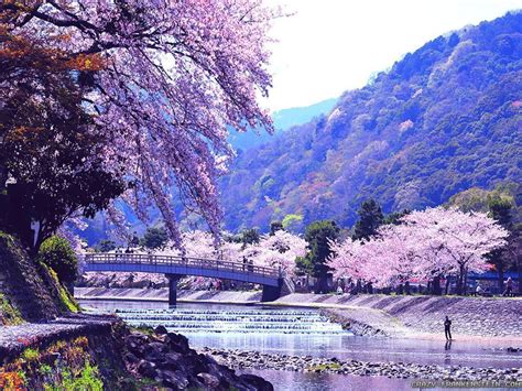Epic Japanese Nature Wallpapers Top Free Epic Japanese Nature