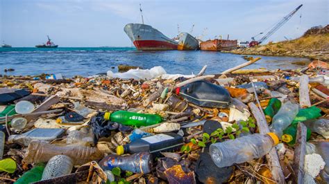 Its Time To End Plastic Marine Pollution To Save Our Oceans Say Sandds