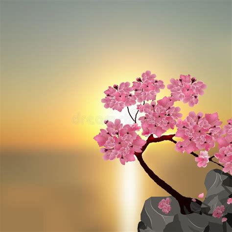 Weelderige Japanse Sakura Boom Roze Kers Op De Steen Tegen De