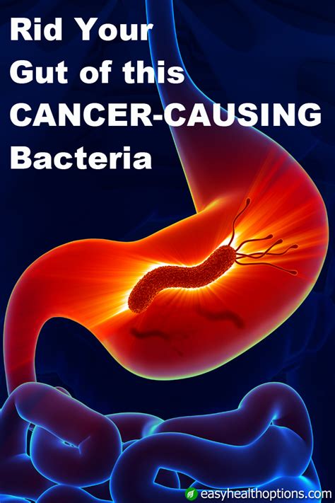 Rid Your Gut Of This Cancer Causing Bacteria Easy Health Options