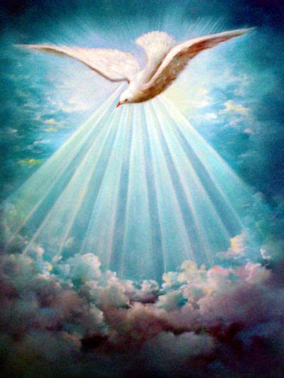250 Doves Ideas Holy Spirit Dove Pictures Holy Spirit Dove