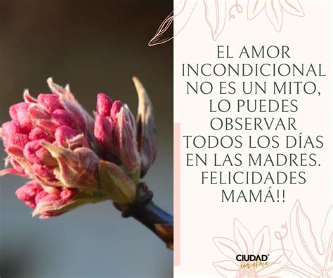 Top Imagen Frases Para El Amor De Mi Vida Mi Madre Abzlocal Mx