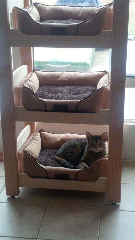 Cat Bunk Beds Hand Made By Kevin Cat Bunk Beds Bunk Beds Bed