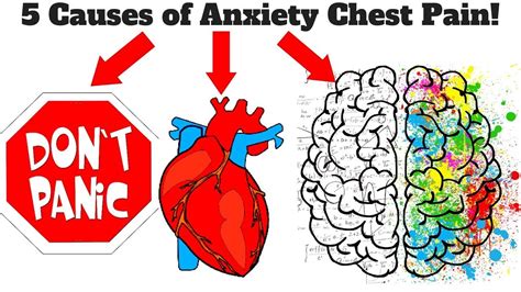 5 Causes Of Anxiety Chest Pain Must Watch Youtube