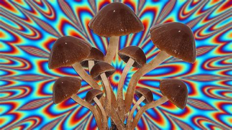Longtime Sufferers of Cluster Headaches Find Relief in Psychedelics
