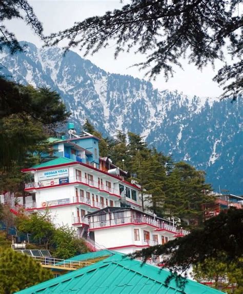 Complete Dharamshala Travel Guide Mcleod Ganj And Little Tibet