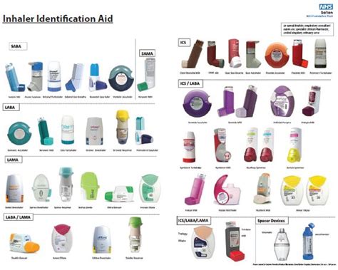 Not every chart you create will require multiple colors. Inhaler Colors Chart / Asthma medicines. Causes, symptoms ...
