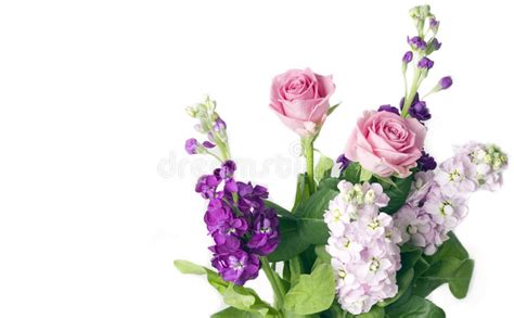 Bunch Of Pink Roses And Stocks Stock Photo Image Of Nature Special
