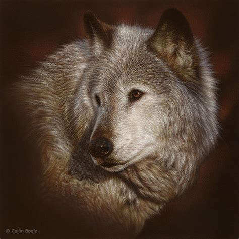 Wolf Paintings Wolf Art Prints Wolves Painting Artist