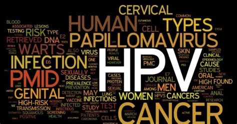 Health Risks Of Oral Sex The HPV And Oral Cancer Link Nigerian And World News