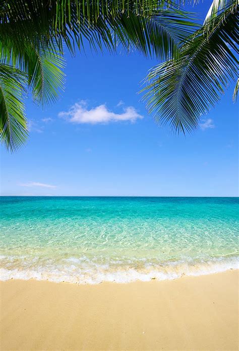 I am trying apply a background image via an image link but i do not know how to make it work. Beaches Beach Backgrounds Ocean Backdrop G-501 in 2020 ...