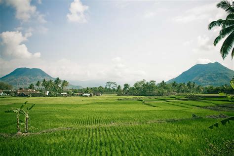 Pemandangan Gunung Dan Sawah Indonesia Pariwisata Dunia