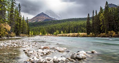 Canadian Rockies By Intrepid Travel With 49 Tour Reviews Tourradar