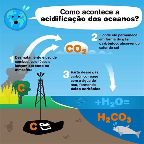 Como A Acidificação Dos Oceanos Pode Beneficiar Alguns Microrganismos Marinhos