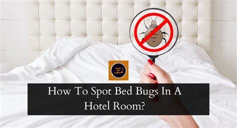 How To Spot Bed Bugs In A Hotel Room Days Inn Collinsville