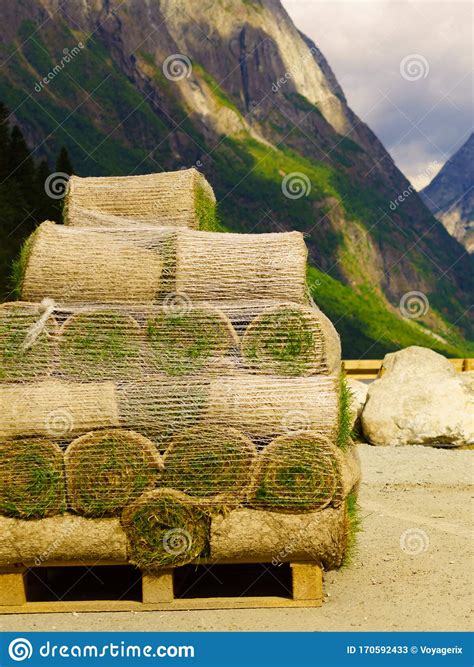 Stacks of Sod Rolls for New Lawn Stock Image - Image of greensward