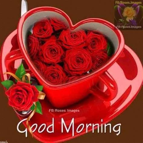 Beautiful good morning images roses. Good Morning Roses In A Mug Pictures, Photos, and Images ...
