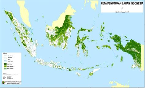 Persebaran Hutan Hujan Tropis Di Indonesia Homecare24