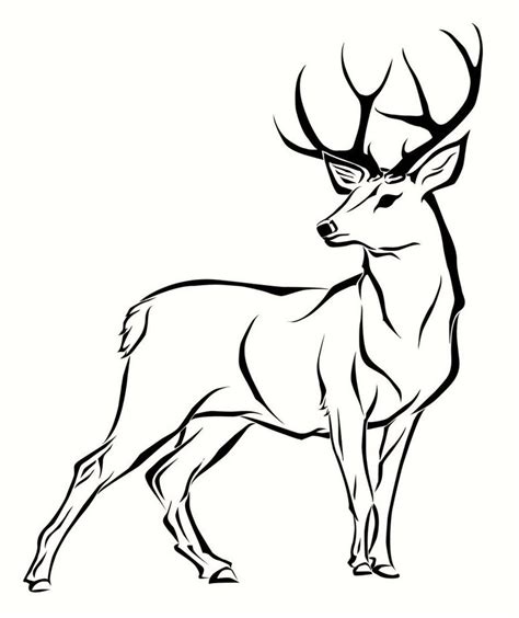 Leuke kleurplaat van bambi het hertje. Deer Coloring Pages | Free download on ClipArtMag