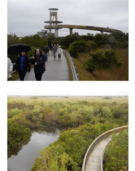 Top The Observation Tower At Shark Valley Everglades National Park