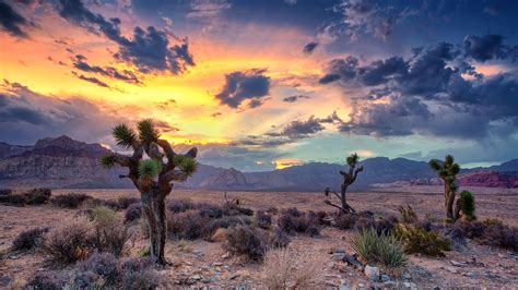 Desert Monsoon Red Rock Canyon Las Vegas Nevada Usa Windows