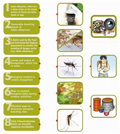 Understanding Mosquitoes And Methods Of Mosquito Prevention And Control