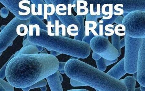 Health Superbugs To Cause Million Deaths By 2050 Newsbomb