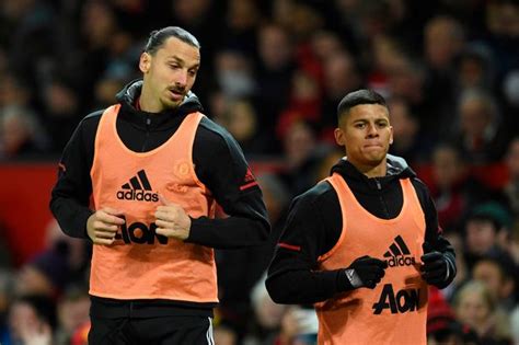 Zlatan i̇brahimoviç hakkında bilmediklerimiz neler? Marcos Rojo admits Zlatan Ibrahimovic 'could have killed ...