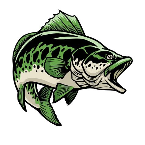 Premium Vector Big Largemouth Bass Fish