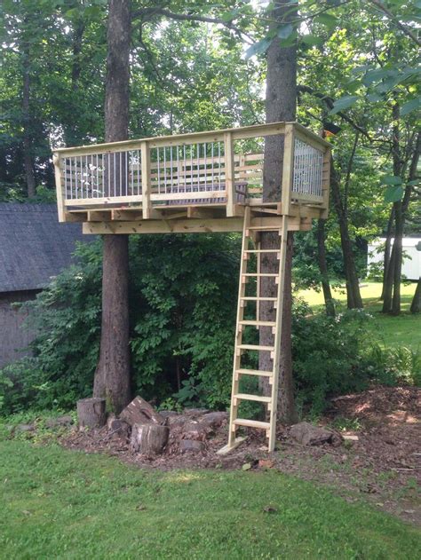 Treehouse Two Trees Ladder Suspension Tree House Deck Tree House