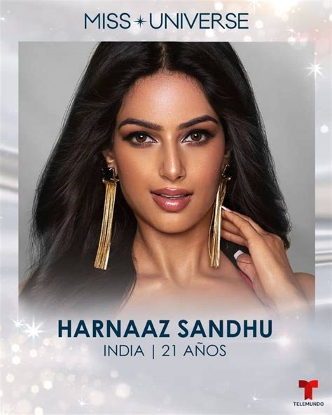 Miss Universo 2021 Miss Índia é Eleita Depois De Viralizar Imitando Gato Portal Cidade Luz