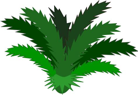 Free Transparent Plant  Download Free Transparent Plant  Png