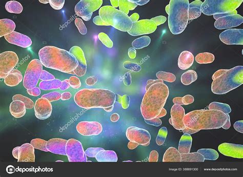 Porphyromonas Gingivalis Bacteria Illustration Bacteria Cause