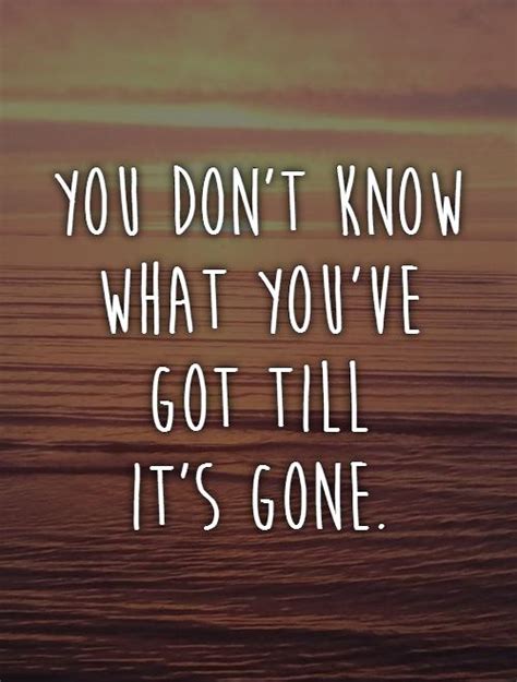 You Dont Know What Youve Got Till Its Gone Picture Quotes