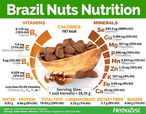 The Brazil Nuts Come From The Amazon Rainforest And Are A Powerhouse Of