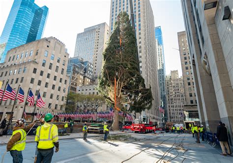 The 2020 Rockefeller Center Christmas Tree Has Officially Arrived In