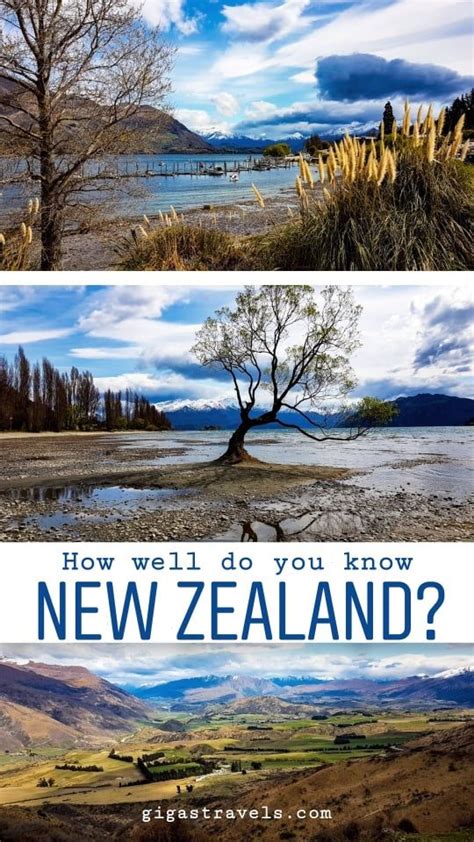 New Zealand Quiz In 2020 New Zealand Travel Travel Quiz Nz Travel