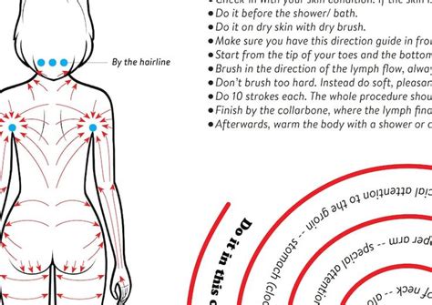 dry body brushing direction guide poster printable instant etsy dry body brushing body