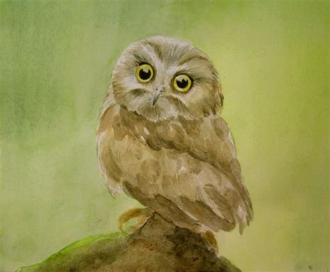 Baby Owl Painting Baby Owl Illustration Baby Owl Art Baby