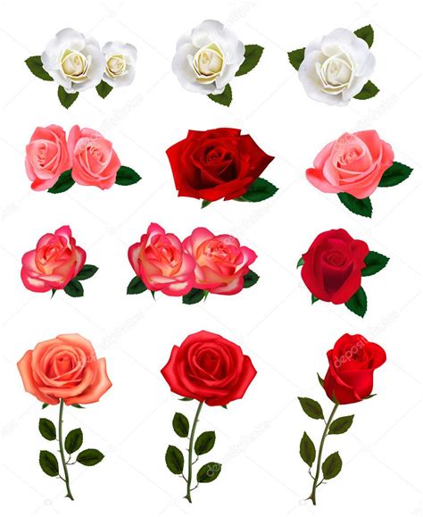 Group Of A Beauty Roses Vector Illustration — Stock Vector © Almoond
