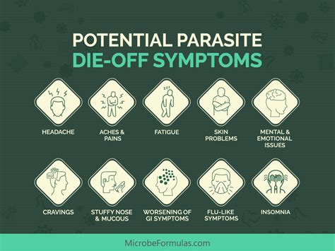 12 Parasite Die Off Symptoms And How To Fight Them Microbe Formulas™