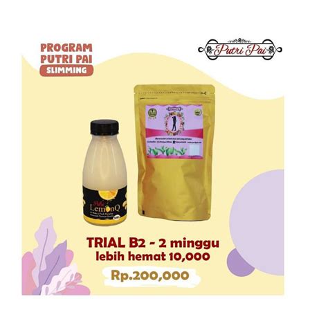 Jual Paket Trial B 1 Lemonq 350ml 1 Pack Teh Gold Putri Pai Depok