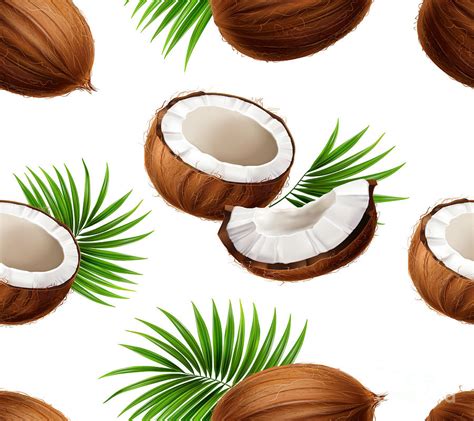 Coconut Pattern Digital Art By Noirty Designs Fine Art America